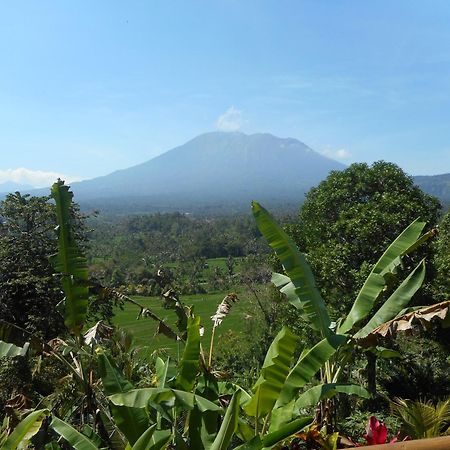Villa Dukuh Selat Buitenkant foto