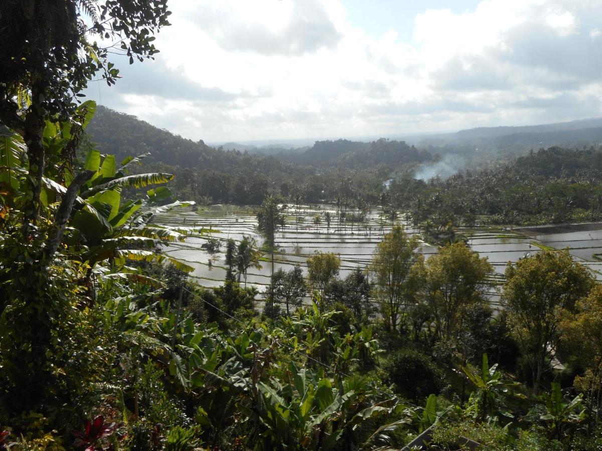 Villa Dukuh Selat Buitenkant foto