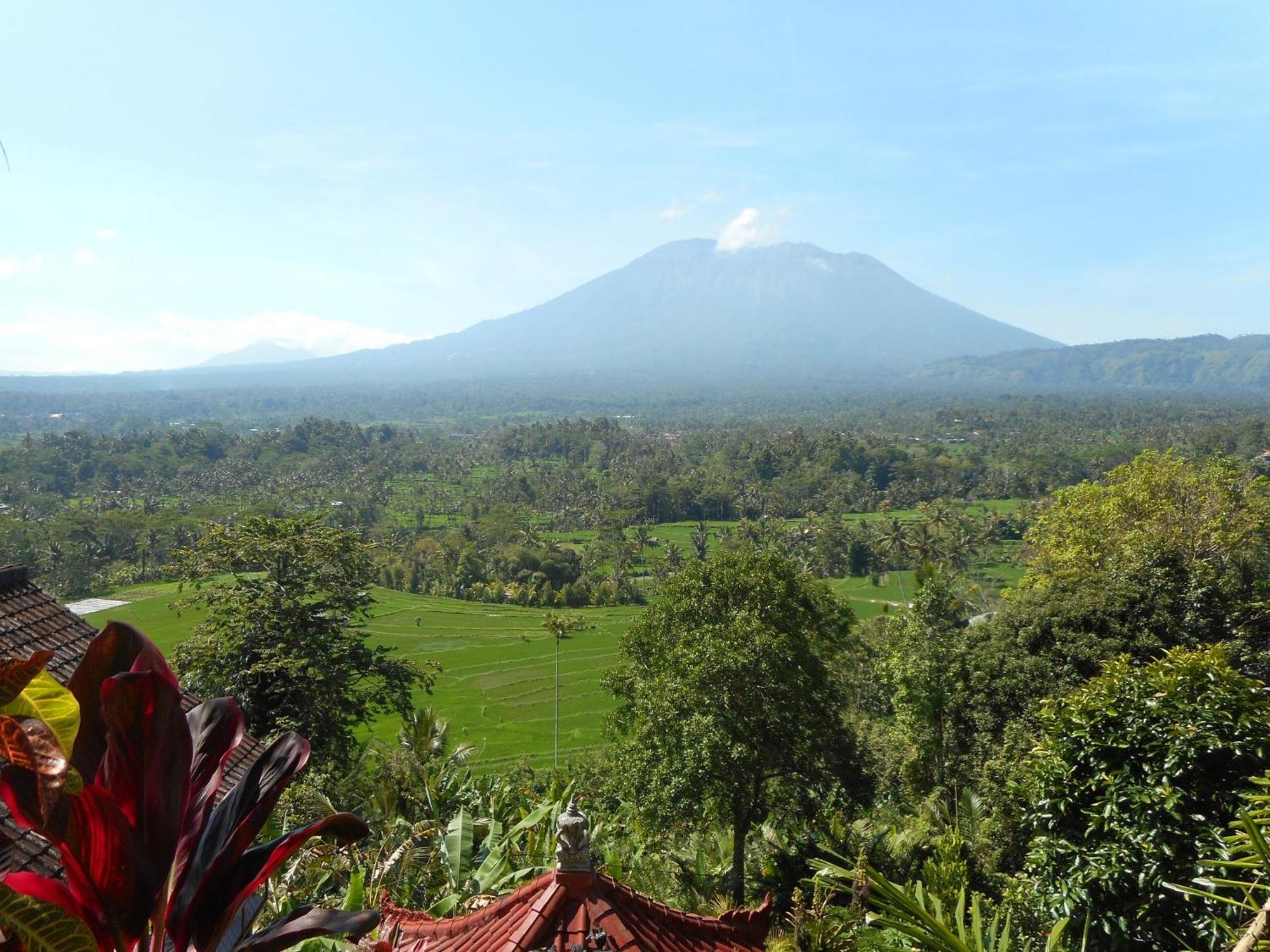 Villa Dukuh Selat Buitenkant foto