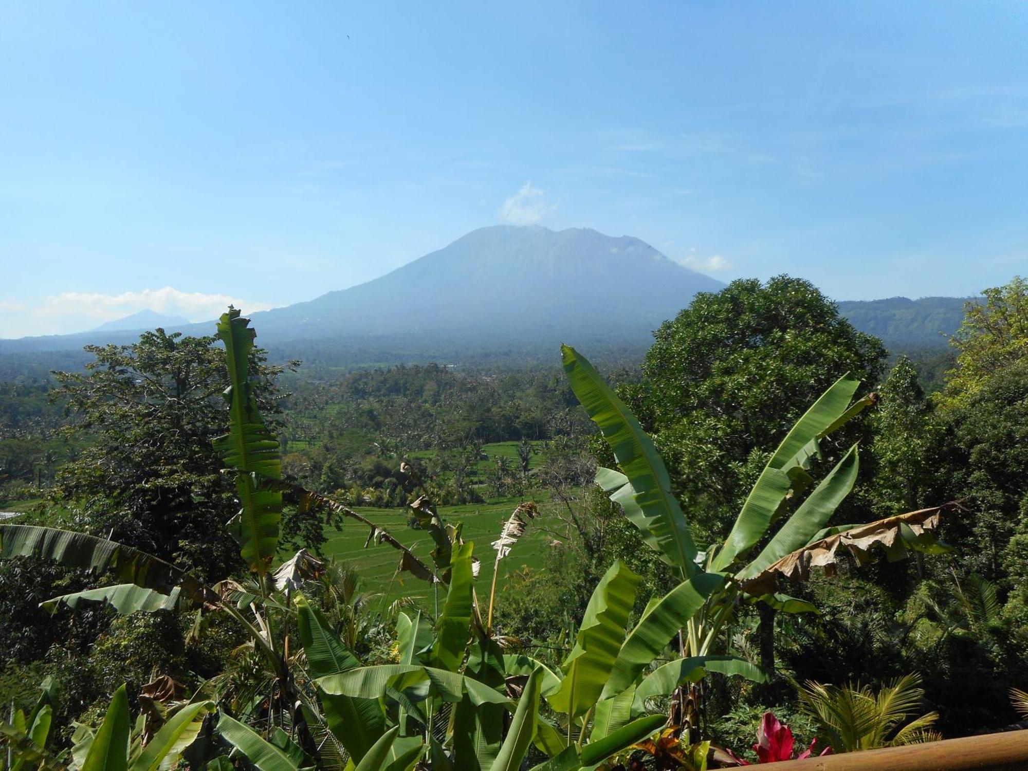 Villa Dukuh Selat Buitenkant foto