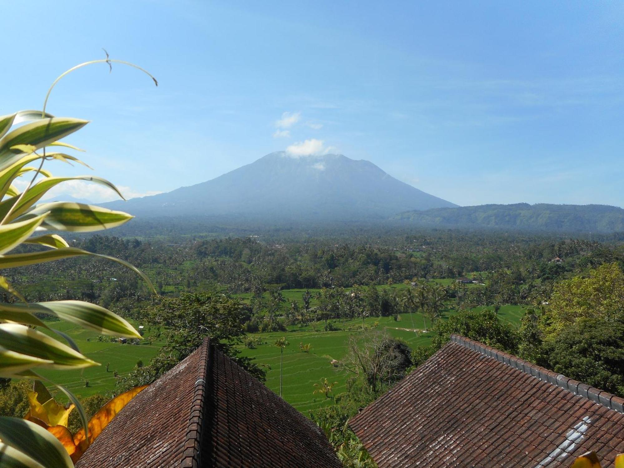 Villa Dukuh Selat Buitenkant foto