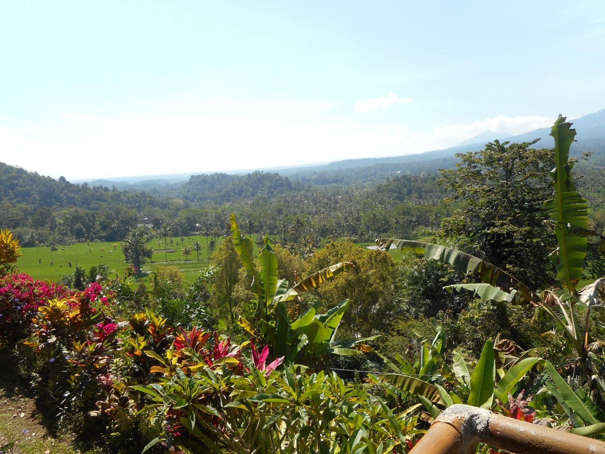Villa Dukuh Selat Buitenkant foto