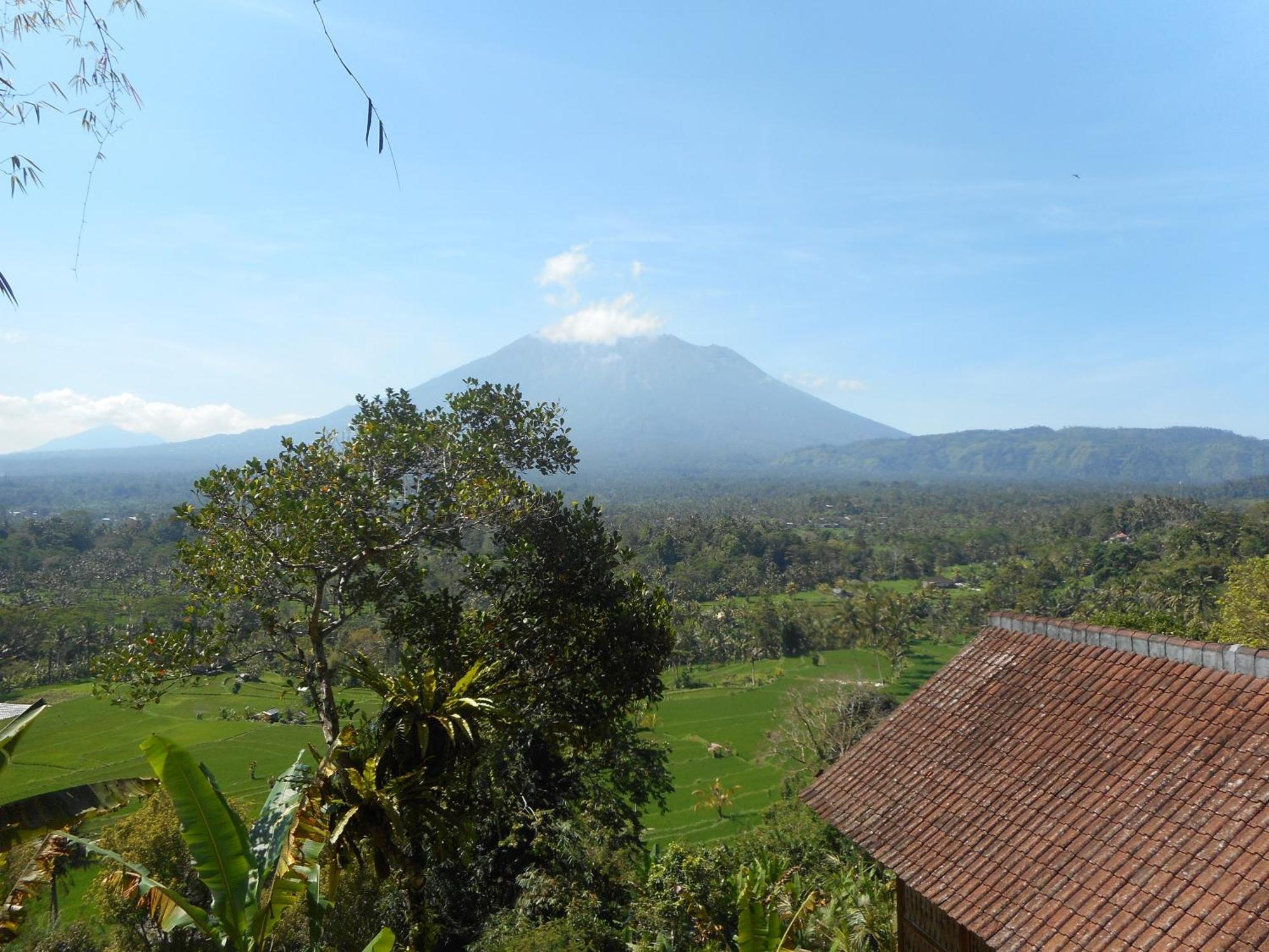 Villa Dukuh Selat Buitenkant foto