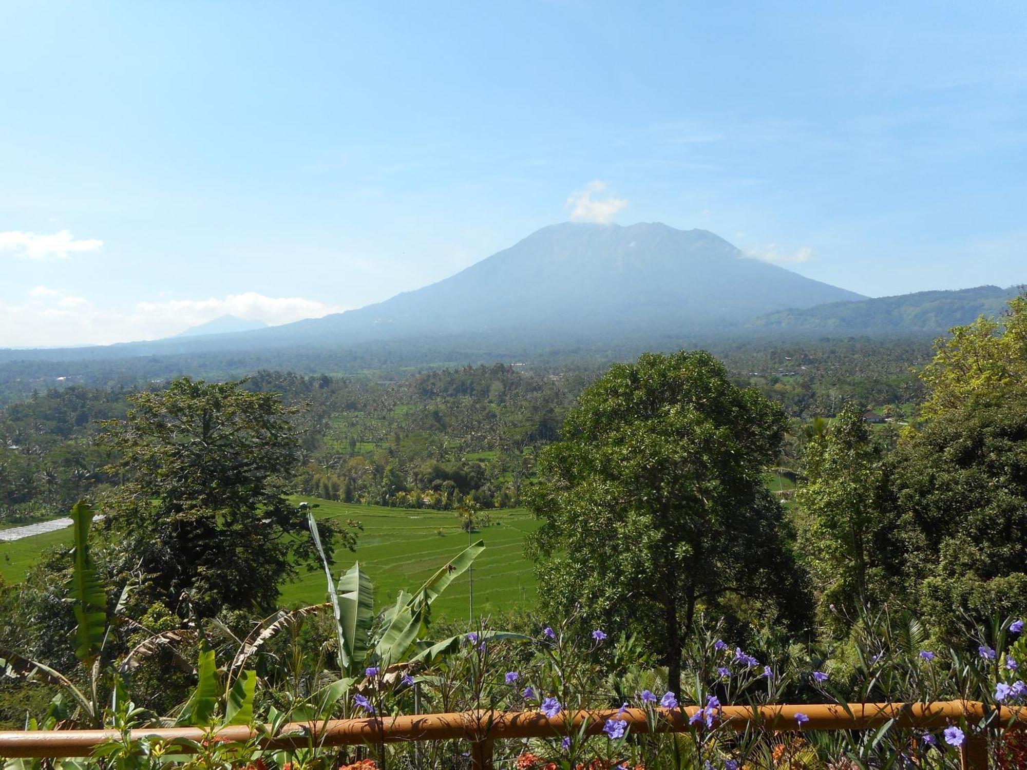 Villa Dukuh Selat Buitenkant foto